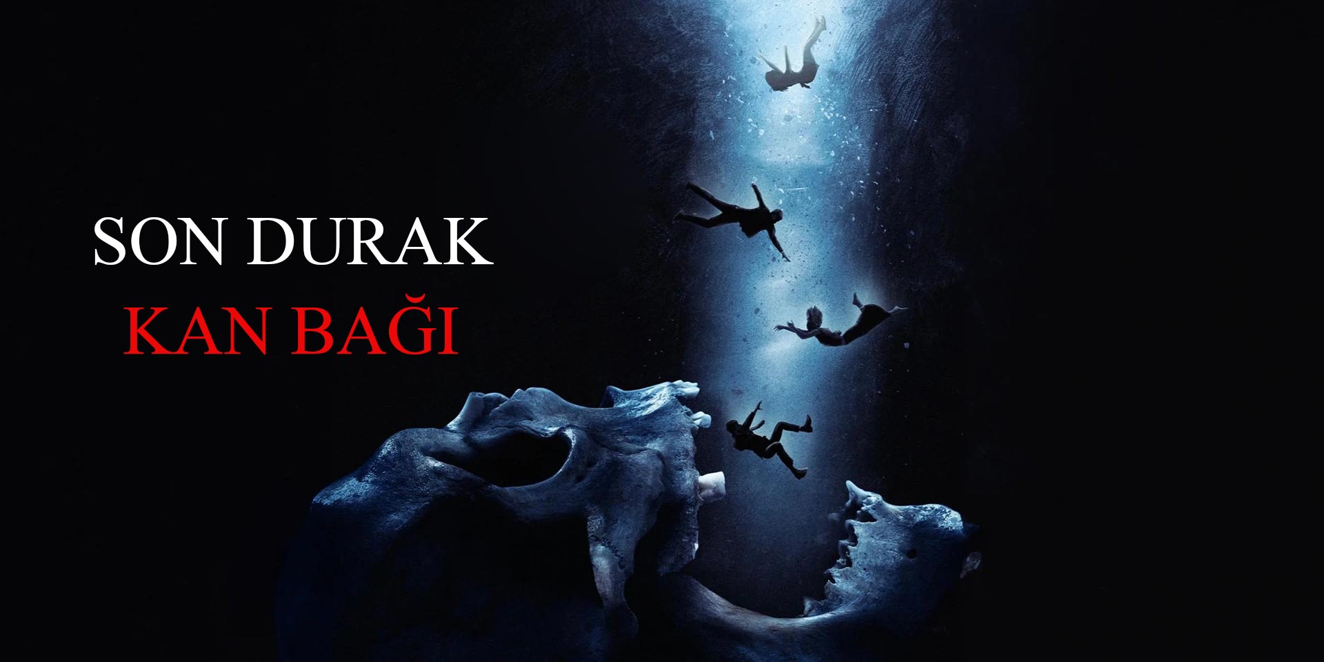 Son Durak: Kan Bağı