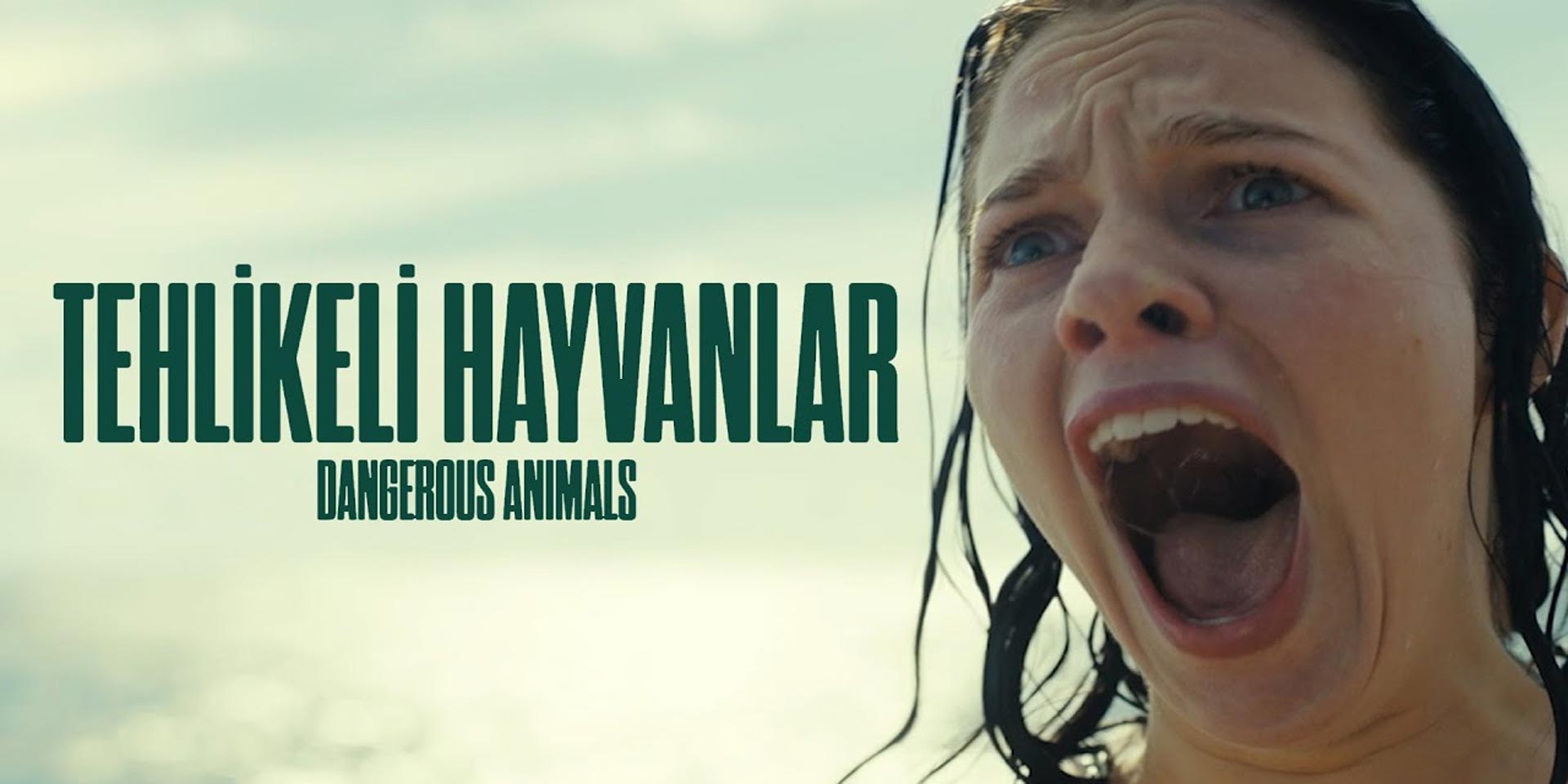 Tehlikeli Hayvanlar